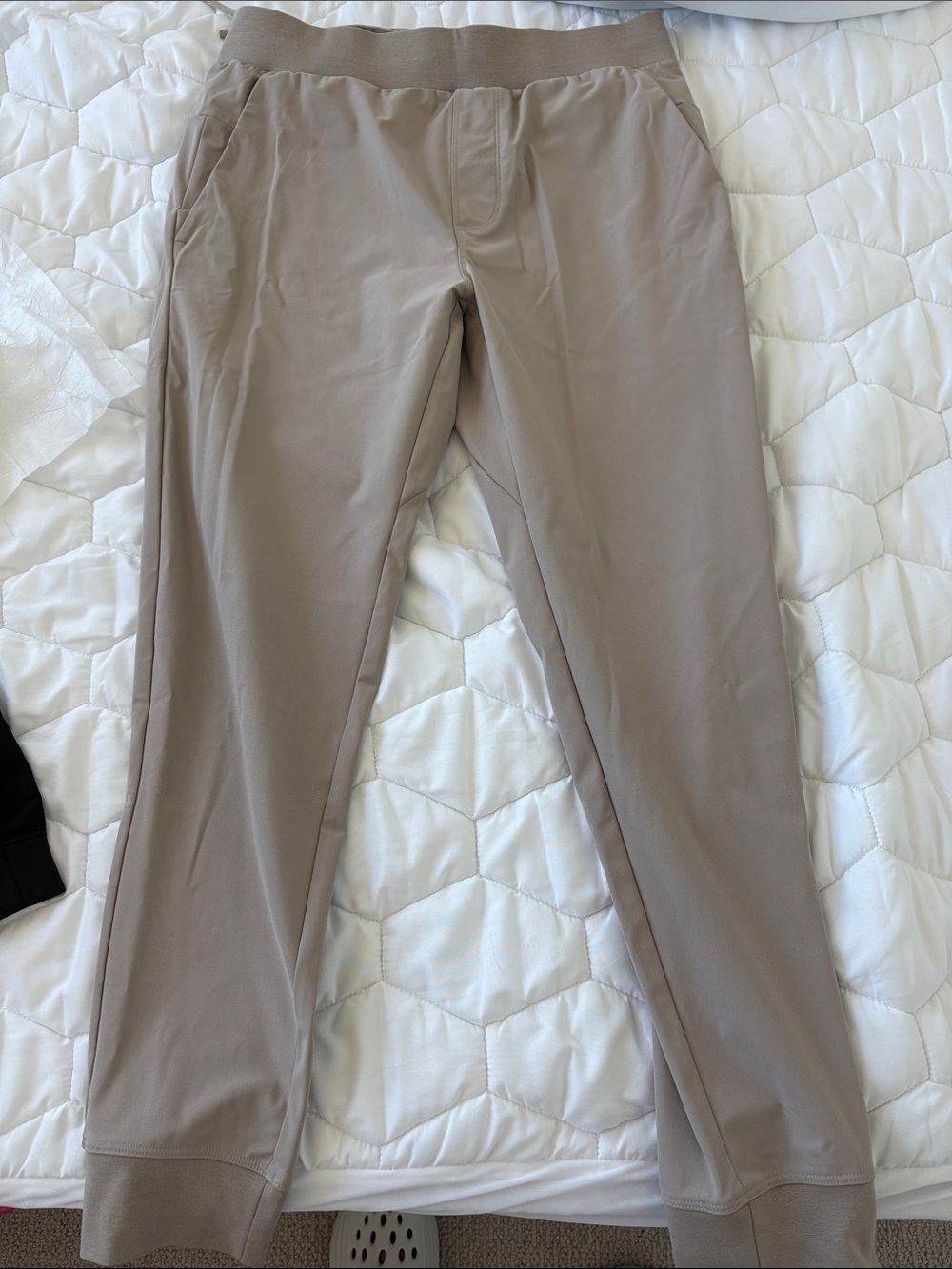 Fabletics Men's Joggers in Taupe Beige